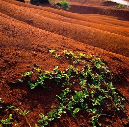 Nintendo Switch版《暗影火炬城》今日正式发售！全新首发宣传影片公开！